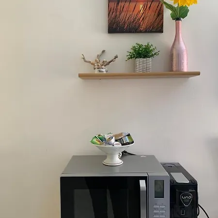 Casa Girasole Centro 아파트 산레모